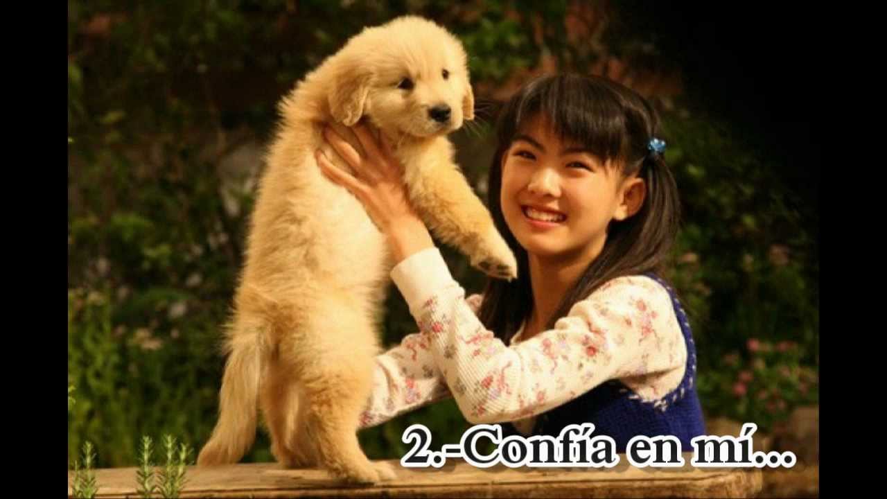 10 promesas a mi perro pelicula completa en español
