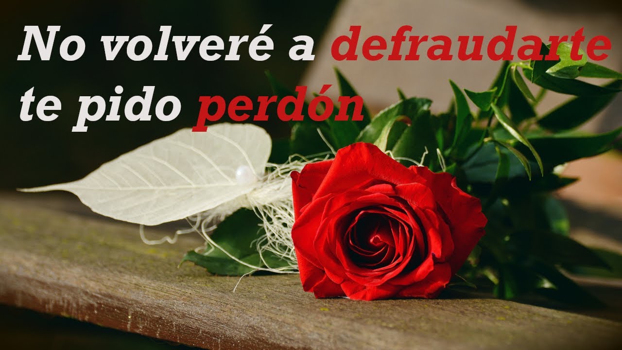 carta de perdon a mi novia por engañarla