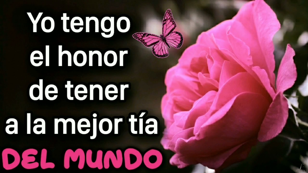 carta para mi tia que la quiero mucho