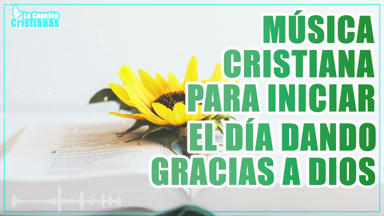 carta sin ti mi vida no tiene sentido