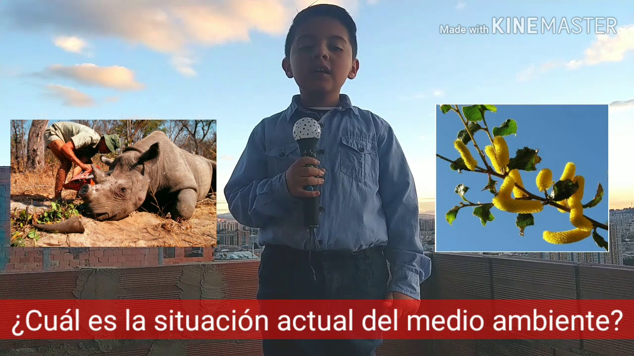ejemplos de reportajes para niños de 6 grado