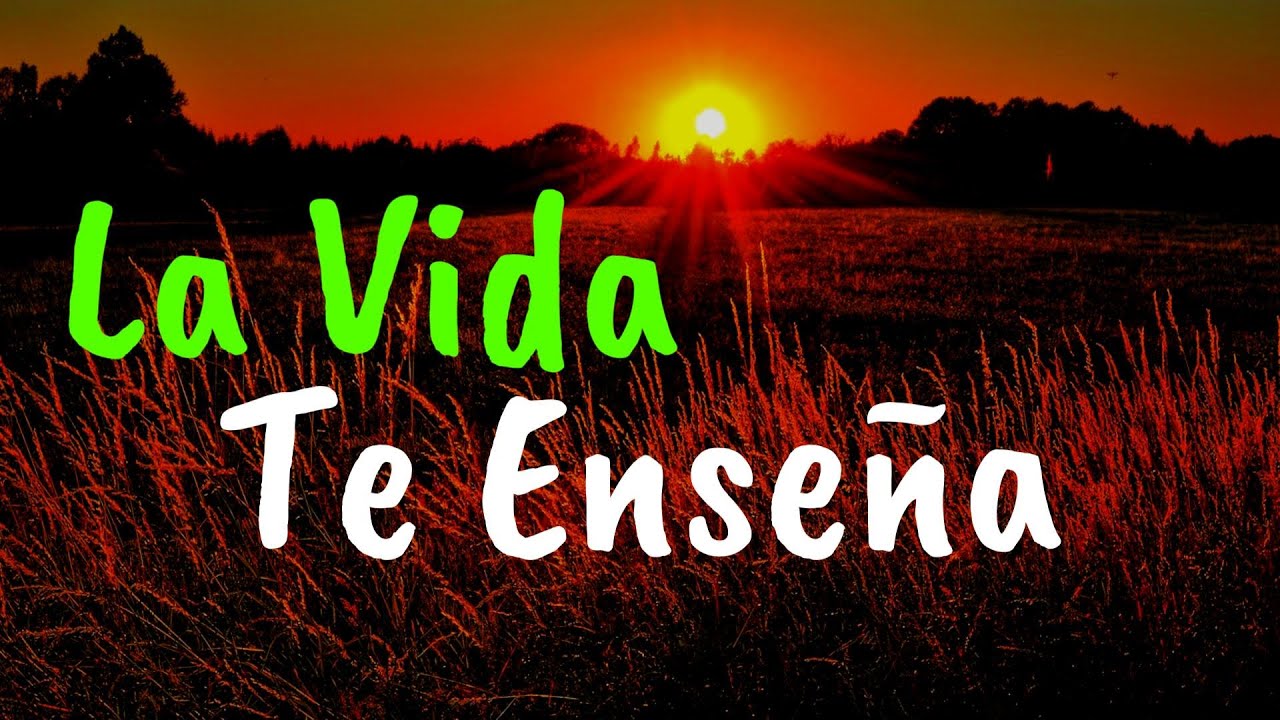 frases de las pequeñas cosas de la vida
