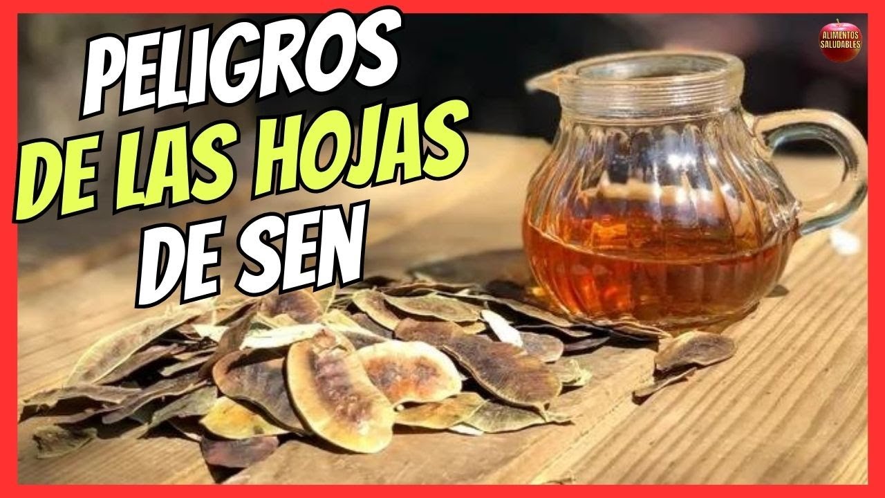 hojas de acacia de la india para el estreñimiento