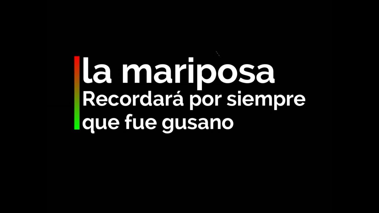 la mariposa recordará por siempre que fue gusano poema