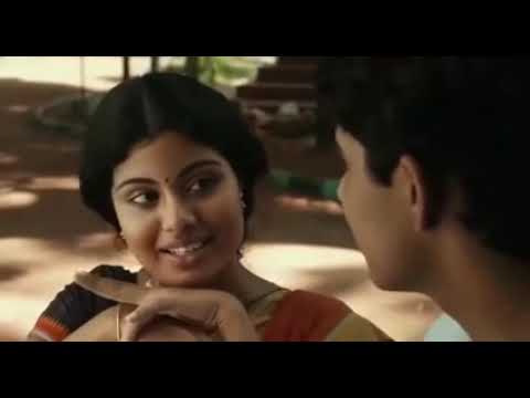 pi una aventura extraordinaria pelicula completa español latino