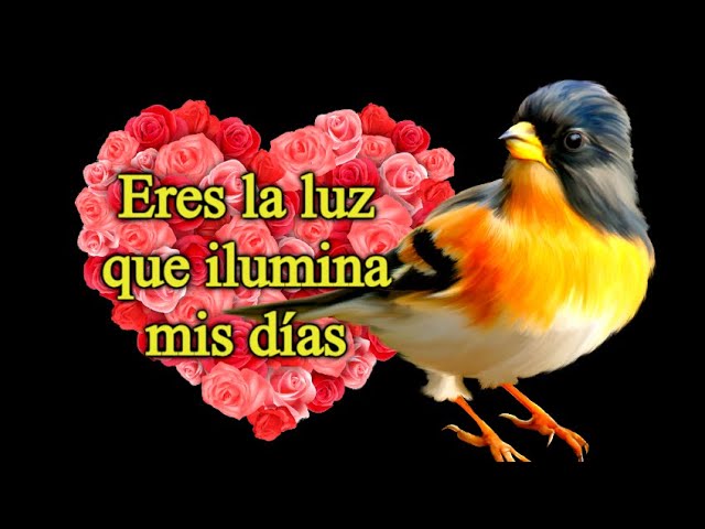 poema eres la luz que ilumina mi camino