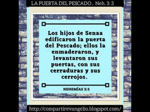 que es la puerta del pescado en la biblia