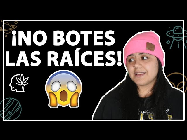 raiz con la que se puede hacer una infusion