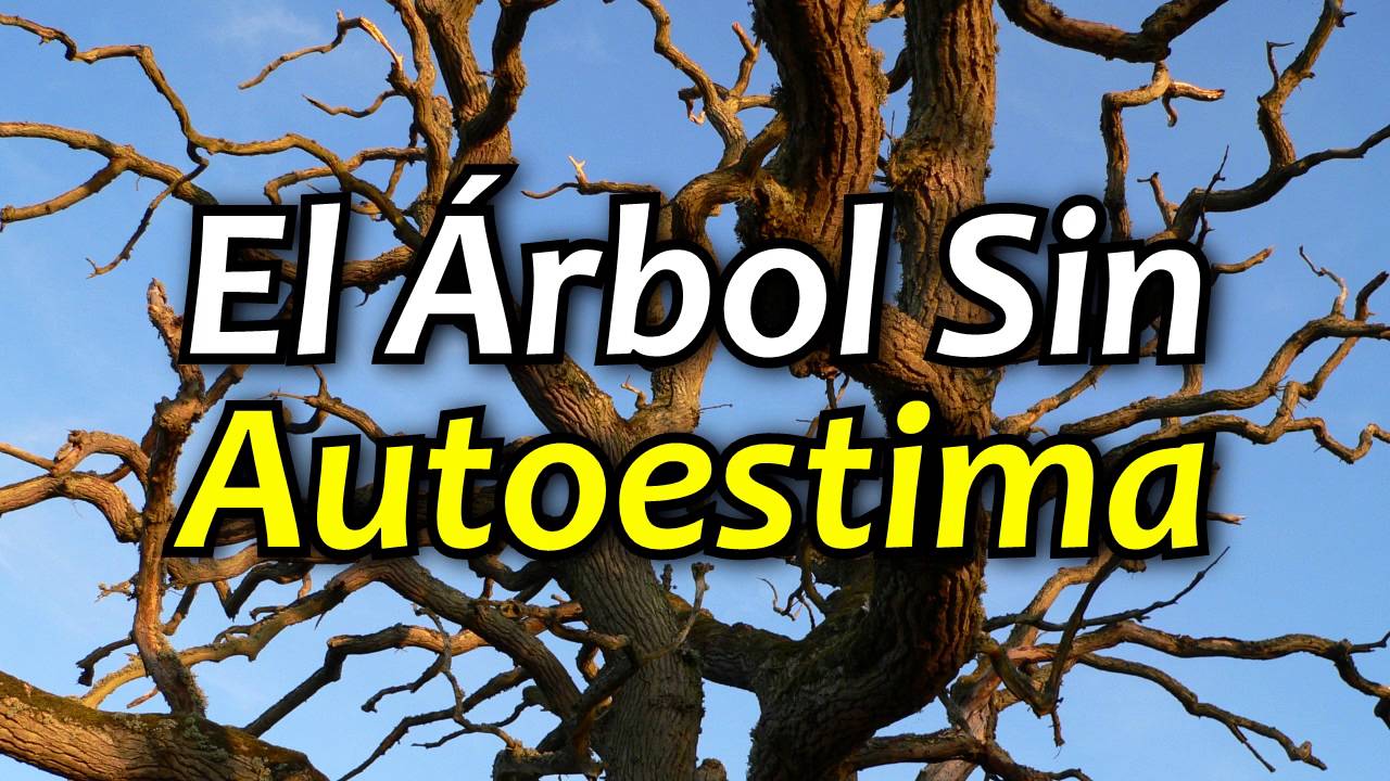 reflexion el arbol feo que no servia para nada letra