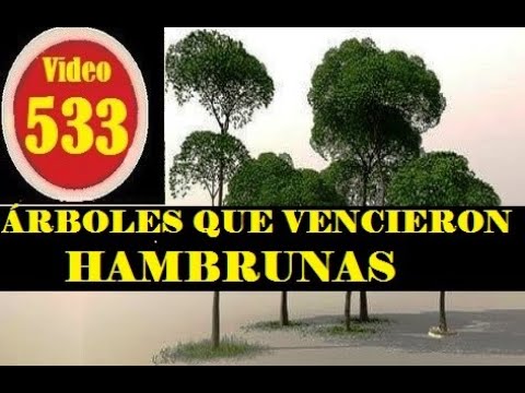 se aplica al arbol que da un alimento comestible