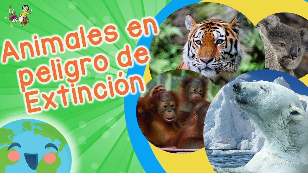 10 preguntas de animales en peligro de extinción