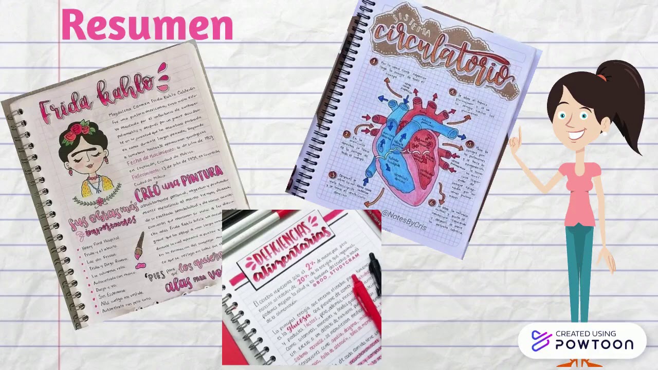 6 grado ejemplo de una guia de estudio para primaria