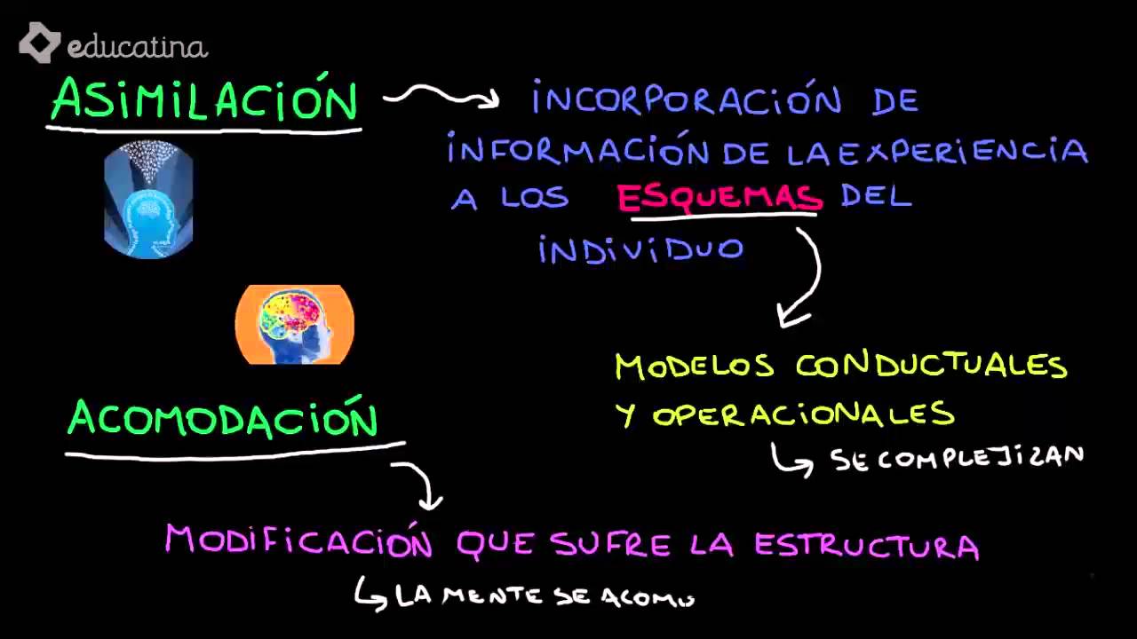 adaptacion vital y psicologia de la inteligencia jean piaget