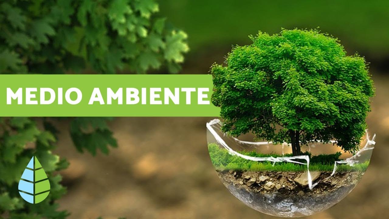 cuales son las bondades que te ofrece un ambiente natural