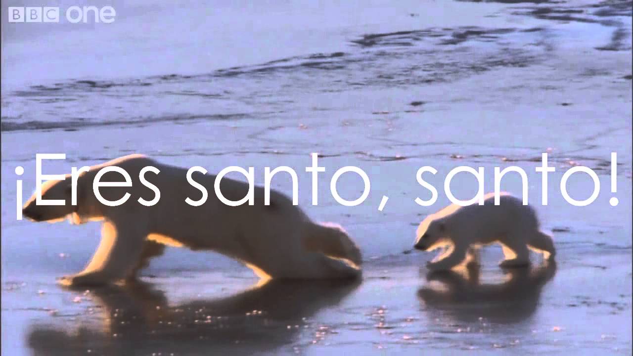 dios del cielo maravilloso dios tu eres santo letra