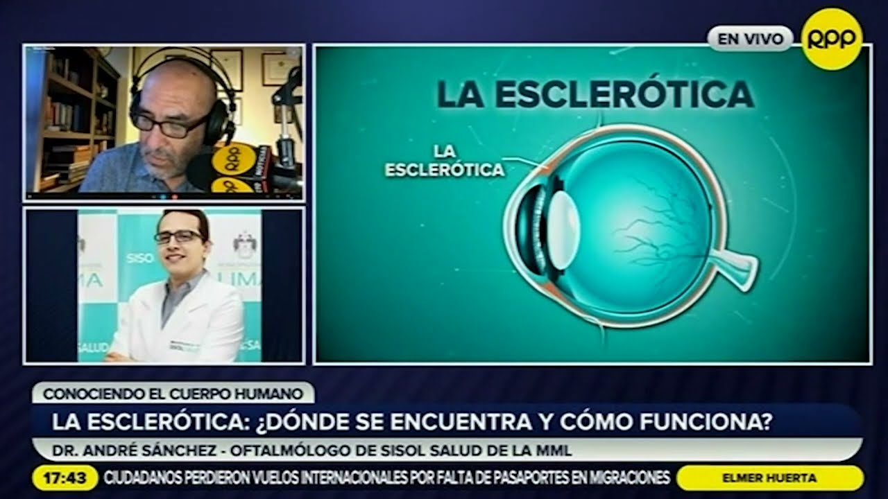 entre la retina y la esclerótica está la