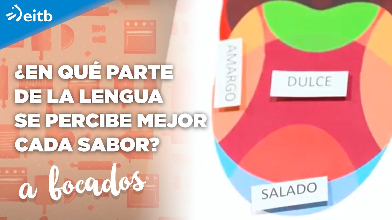 está en la lengua y detectan los sabores