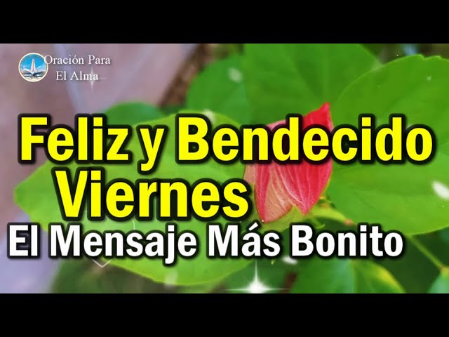 feliz y bendecido viernes y fin de semana