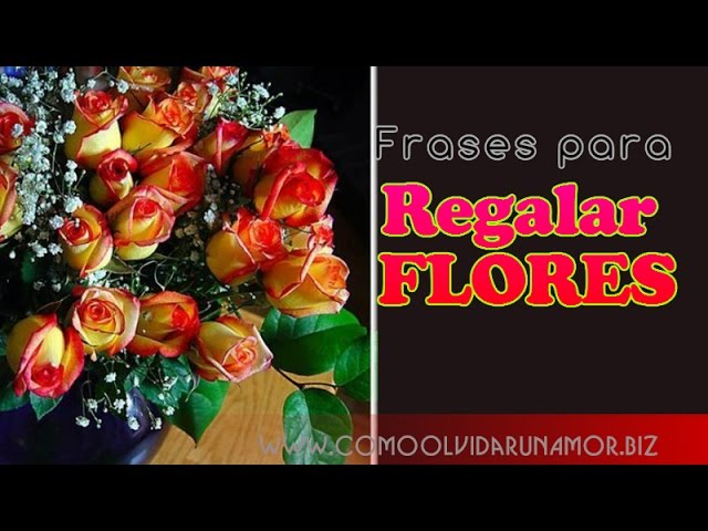 frases para poner en un ramo de rosas