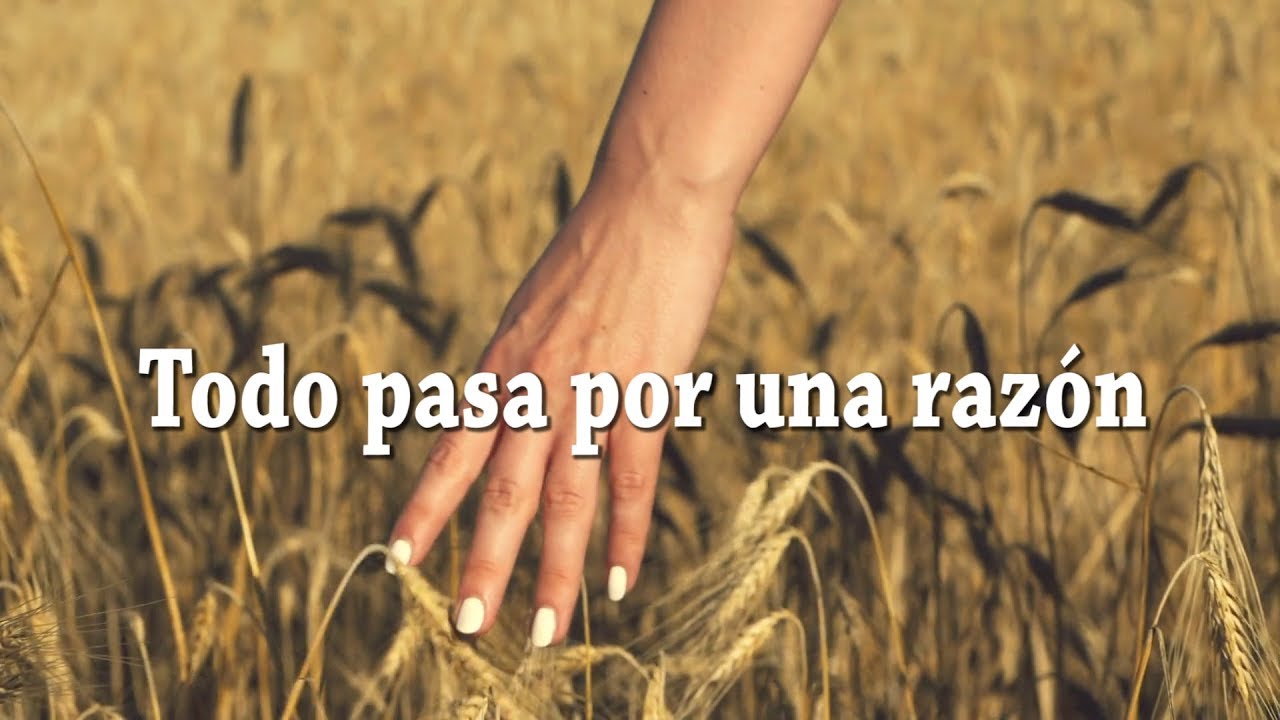 hay personas que pasan por tu vida y dejan huella
