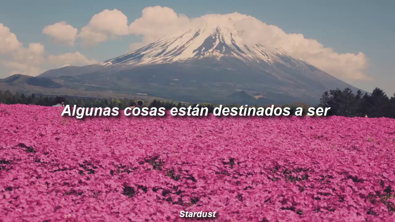 no puedo evitar enamorarme de ti letra en español