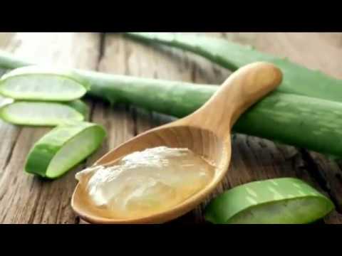 planta cuya savia se utiliza para tratar quemaduras