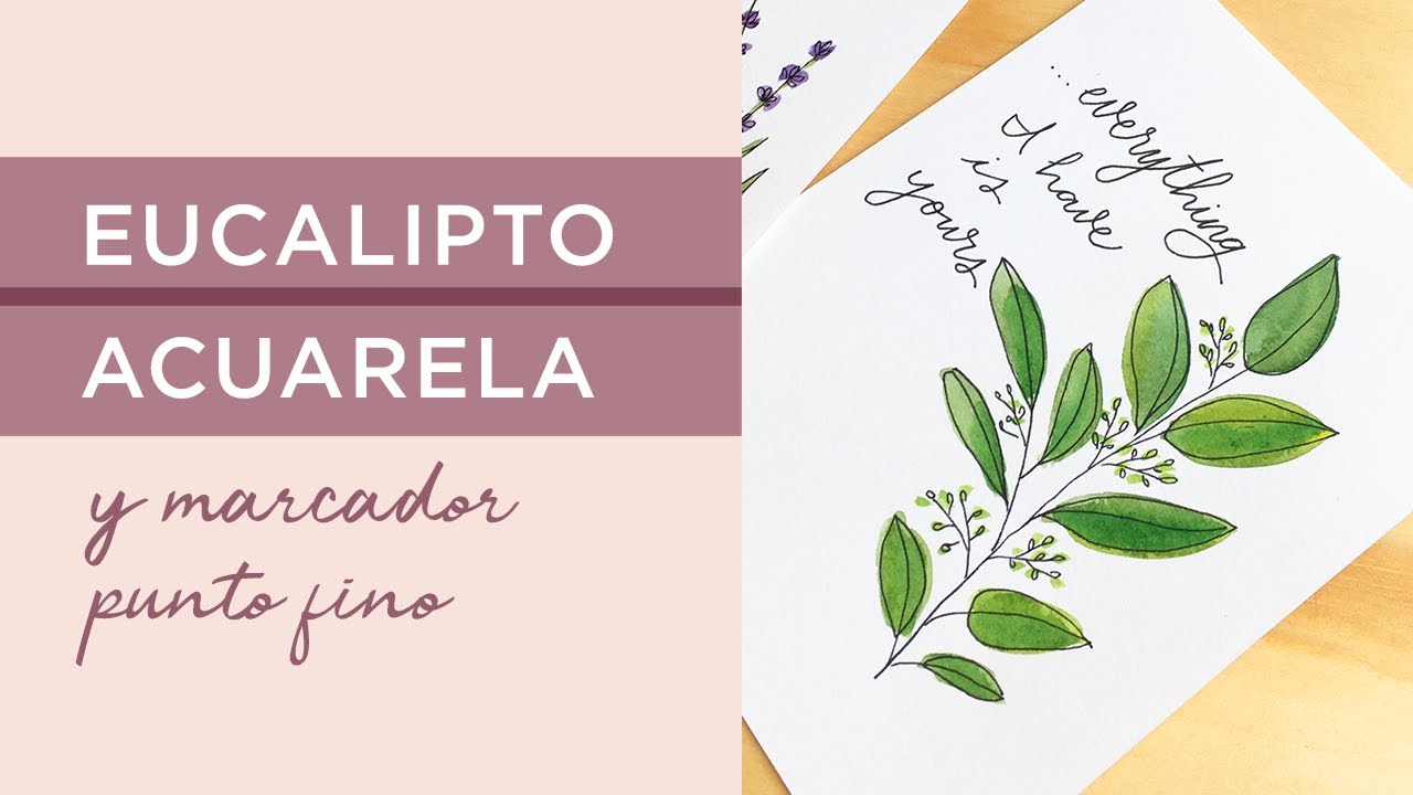 plantas medicinales para colorear con sus nombres en español