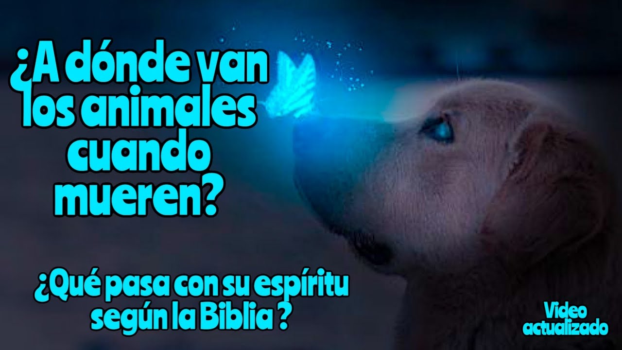 que pasa con los perros cuando mueren segun la biblia