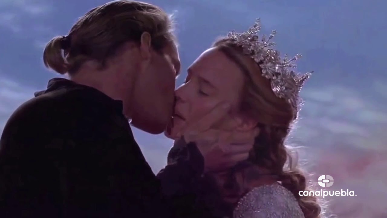 resumen del libro el beso mas largo del mundo