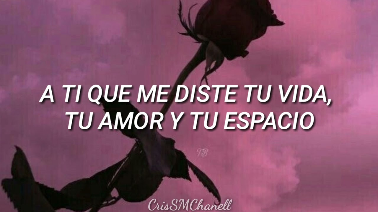a ti que me diste la vida letra