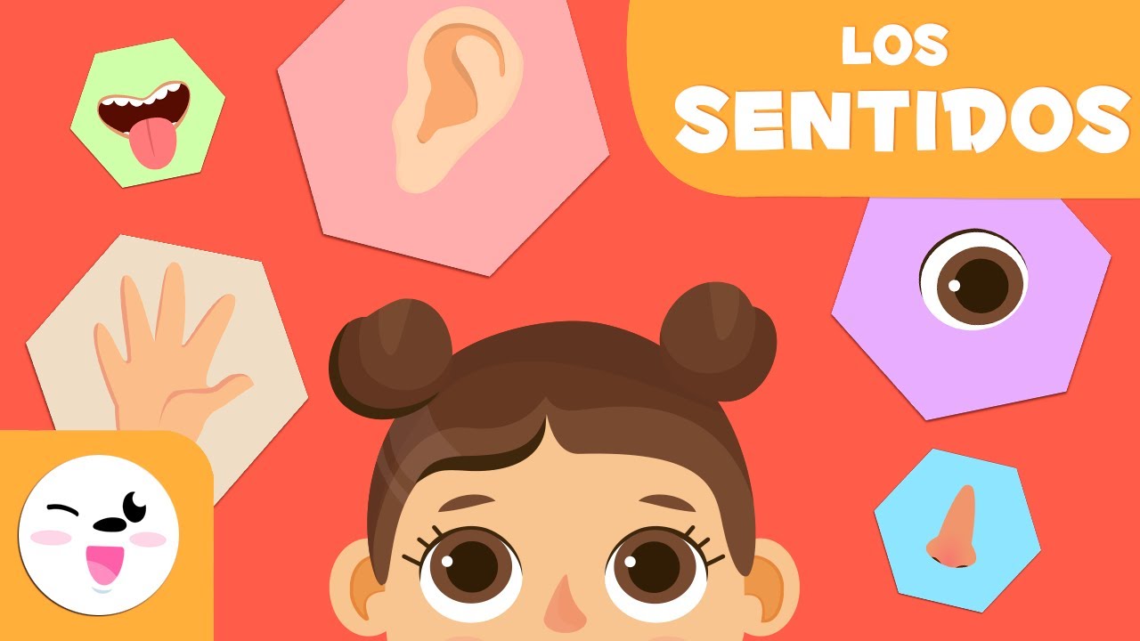 actividades de los 5 sentidos para niños de preescolar