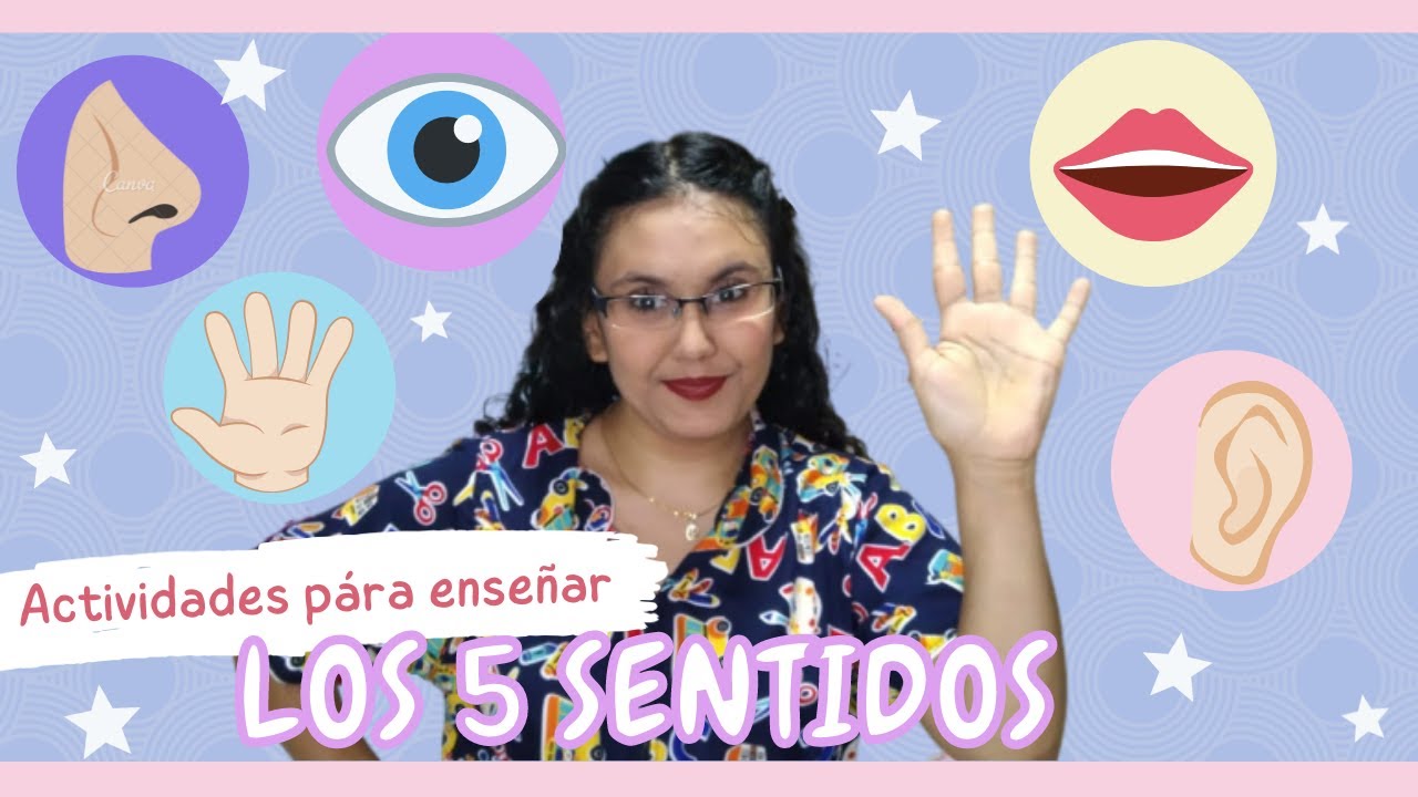 actividades para trabajar los 5 sentidos en preescolar
