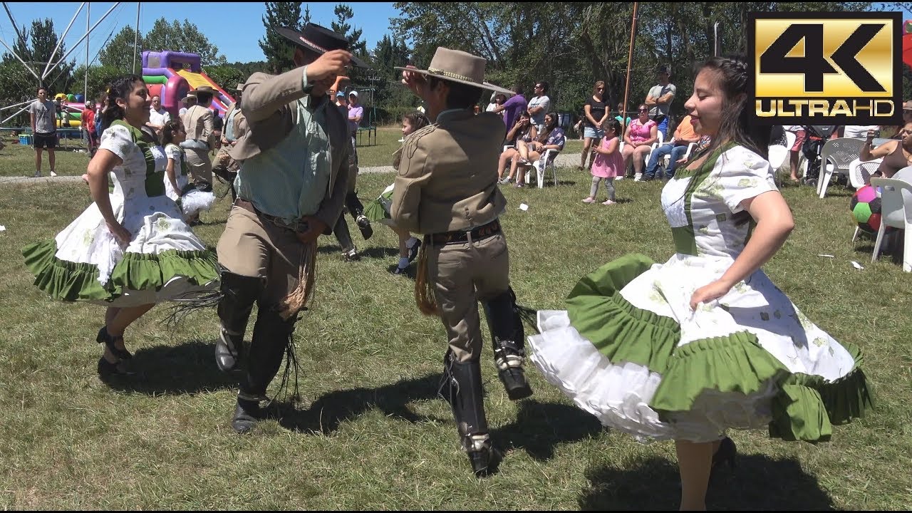bailes típicos de la zona centro y su vestimenta