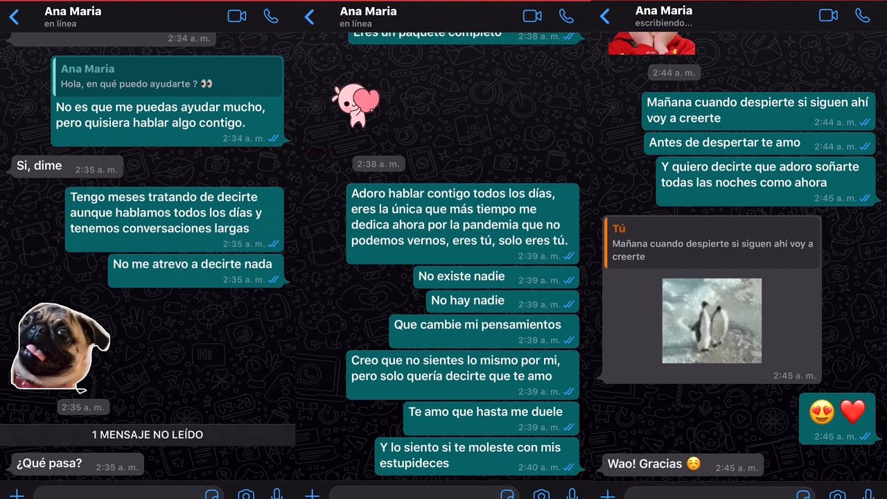 como pedirle que sea mi novia por chat