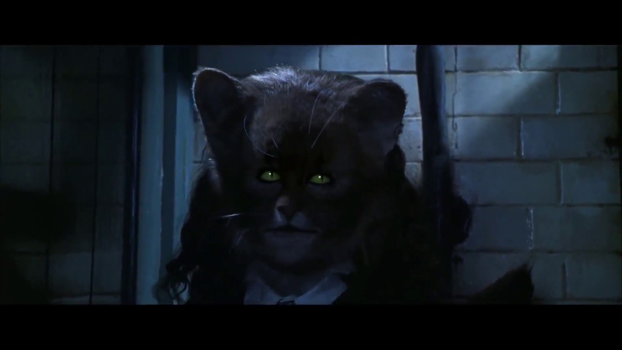 como se llama la gata de harry potter