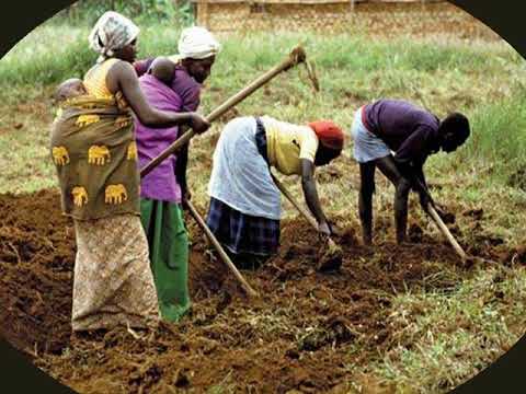 cuál es la agricultura tradicional o de subsistencia