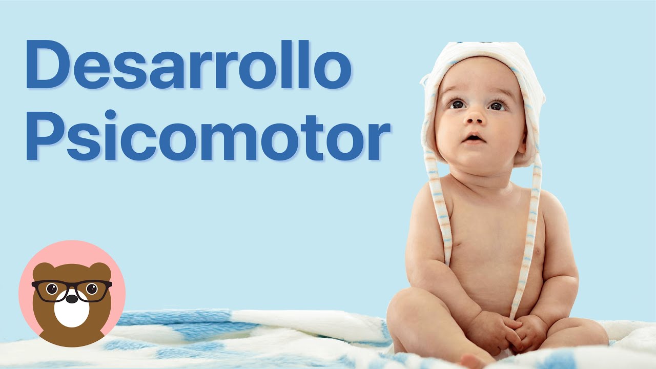 cuales son las 4 etapas del desarrollo motor