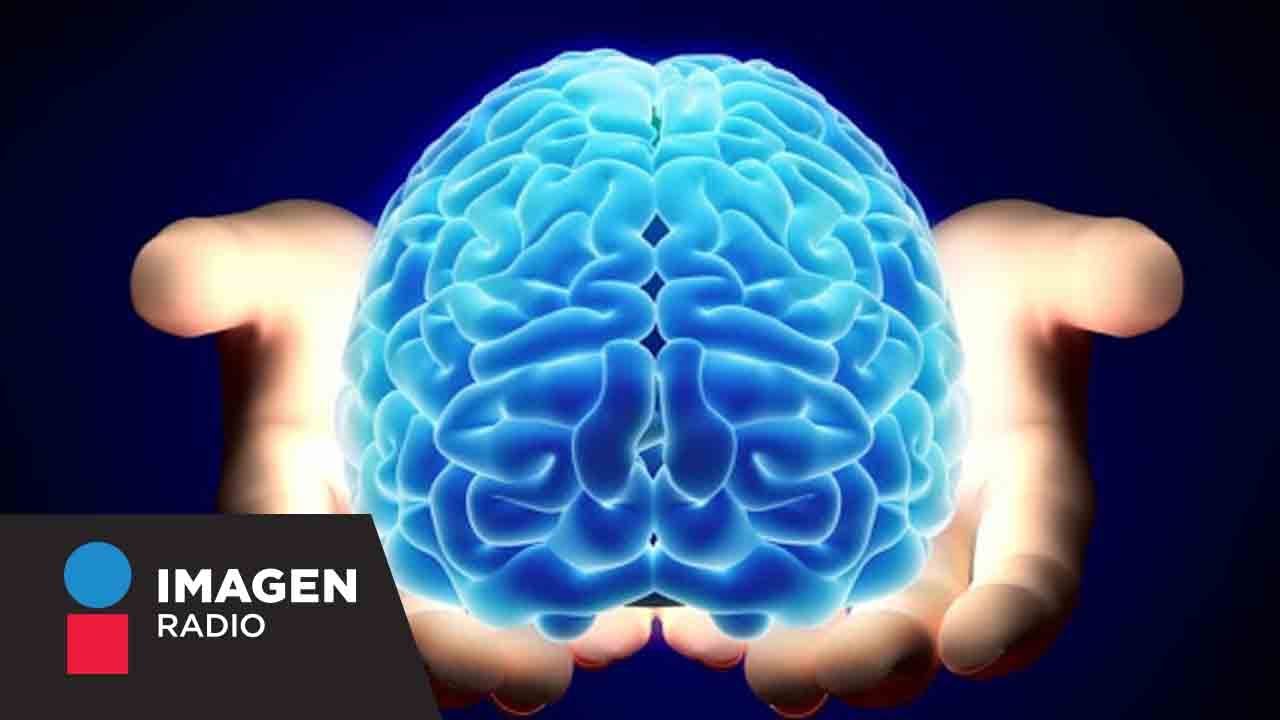 cuáles son las enfermedades más comunes del cerebro humano