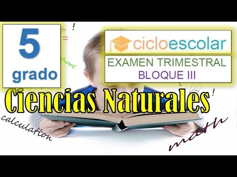ejercicios de ciencias naturales para quinto grado de primaria