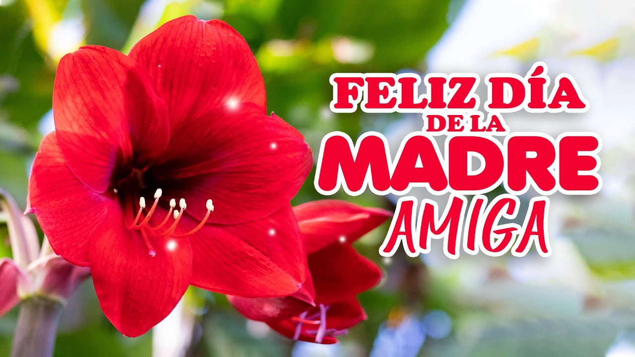 feliz día de la madre tarjetas para amigas