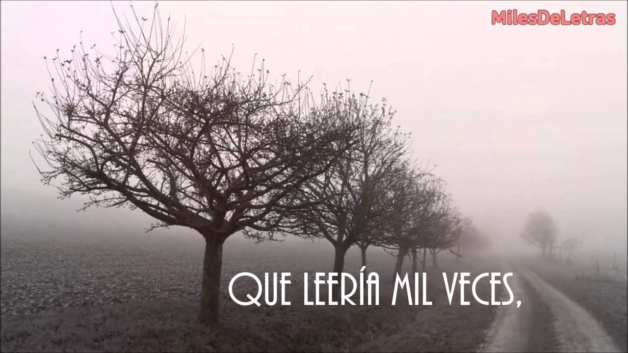 fuimos un cuento breve que leeré mil veces