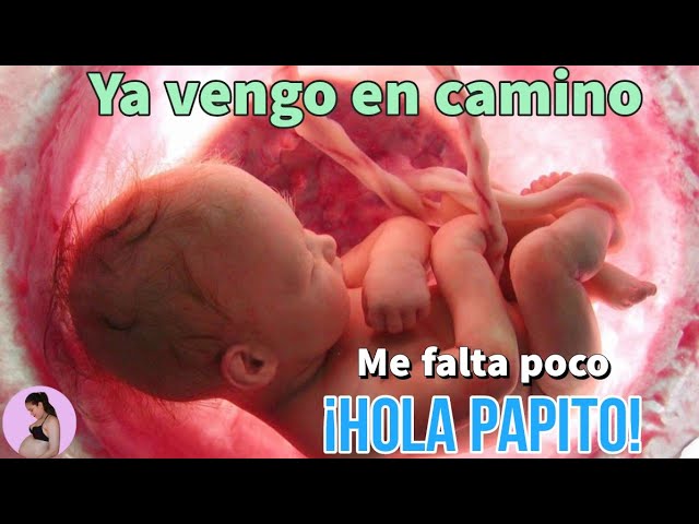 futuro papa carta de bebe a papa primerizo