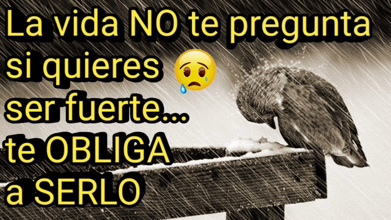 la vida no te pregunta si quieres ser fuerte