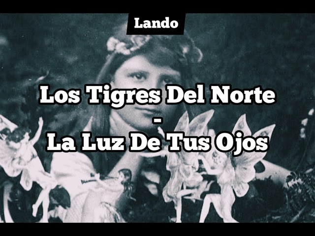 letra de la cancion la luz de tus ojos