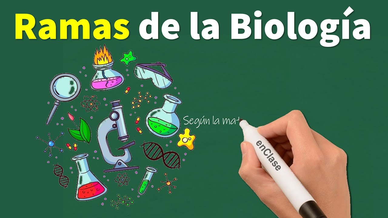 mapa mental de la biología y sus ramas