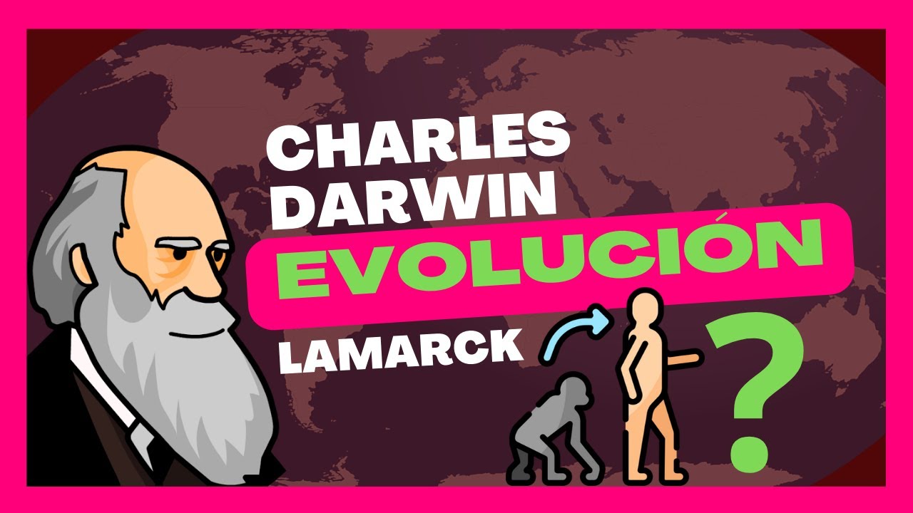 mapa mental sobre la teoria de la evolucion