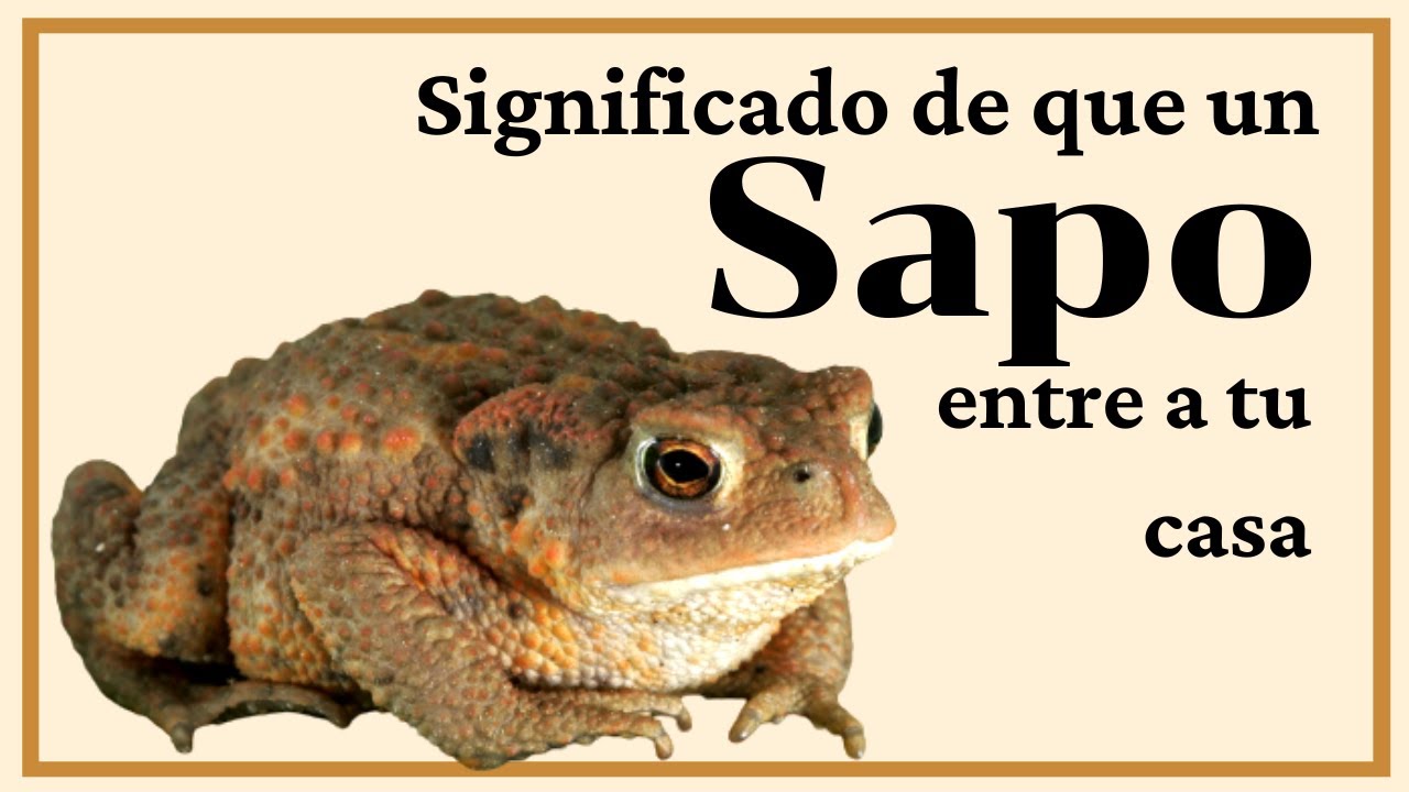 que significa que un sapo llegue a tu casa