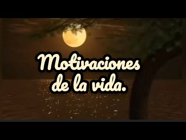 recuerda tu no eres una opcion eres un privilegio