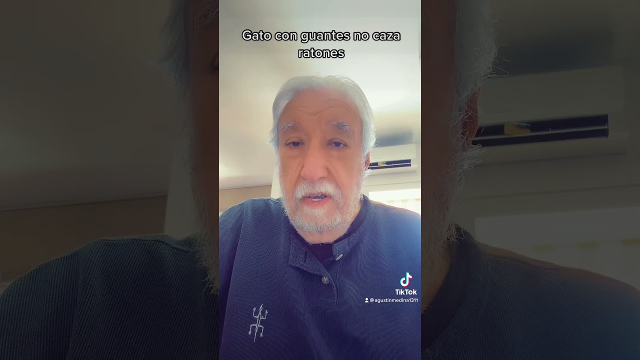 refran gato con guantes no caza ratones que significa
