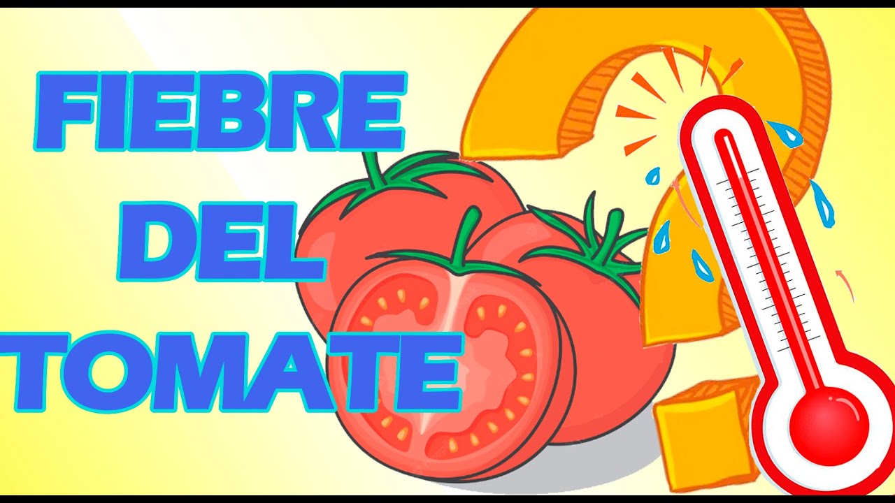 tomate en los pies para bajar la fiebre